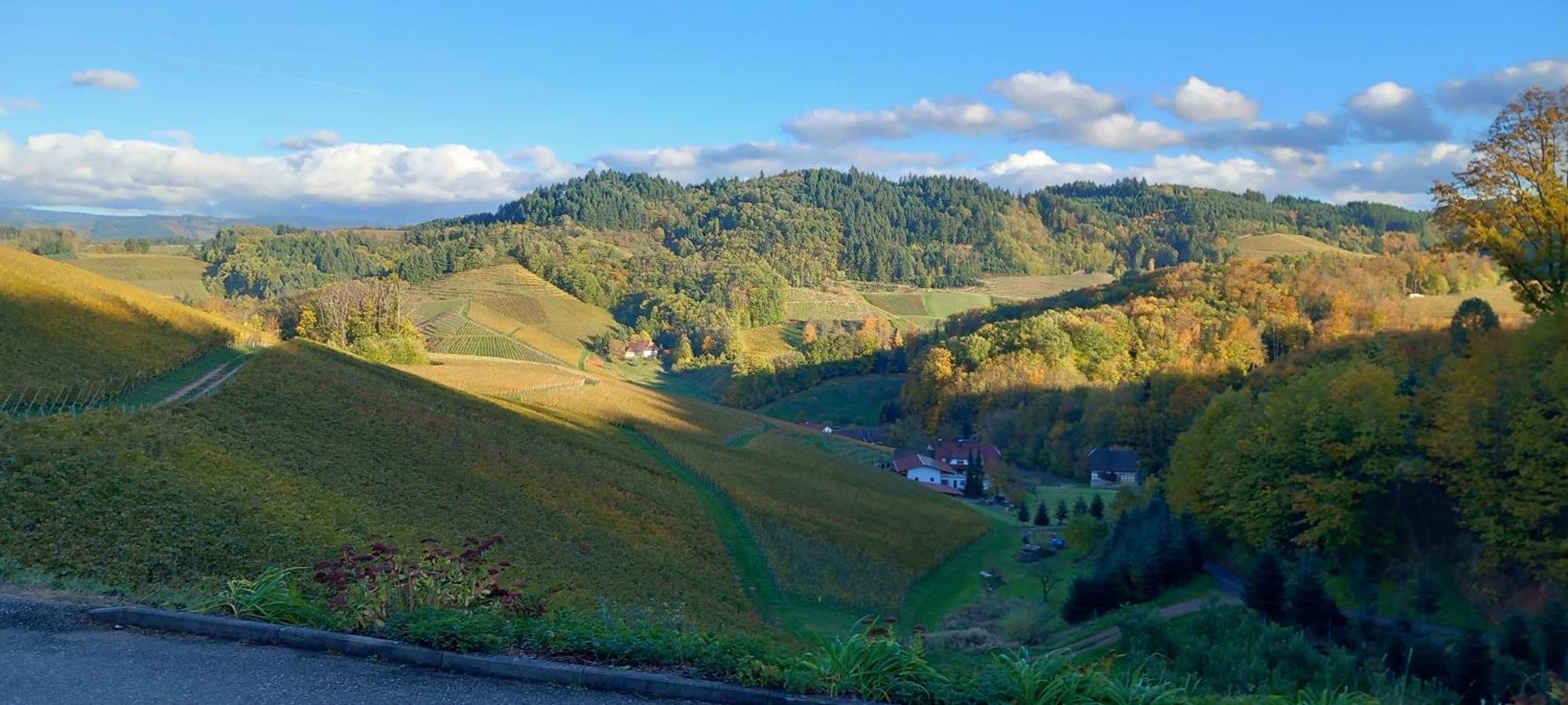 Schwarzwaldglueck Daire Oberkirch  Dış mekan fotoğraf