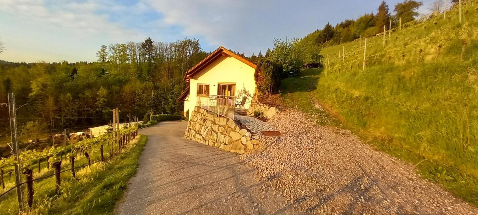 Schwarzwaldglueck Daire Oberkirch  Dış mekan fotoğraf