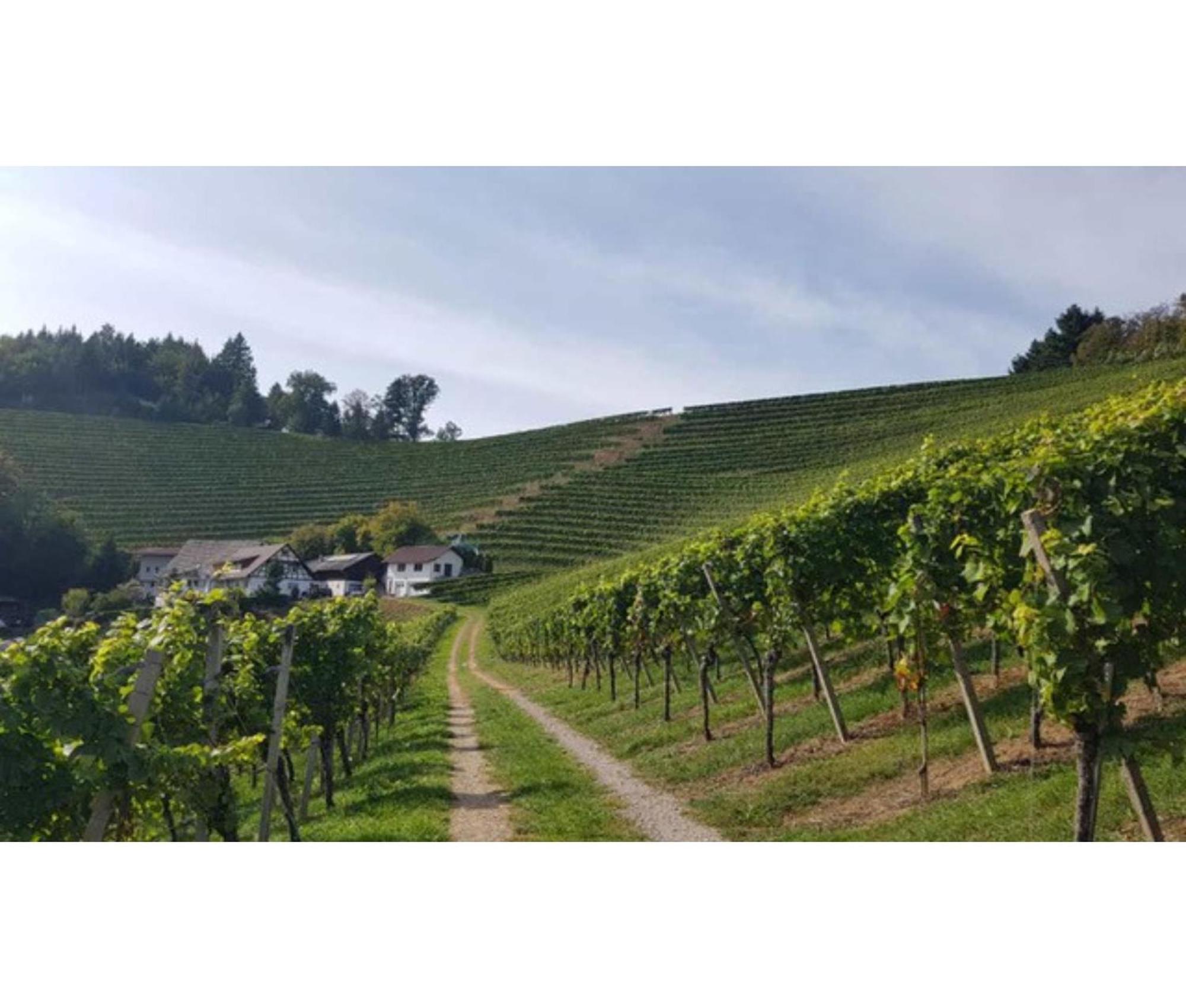 Schwarzwaldglueck Daire Oberkirch  Dış mekan fotoğraf